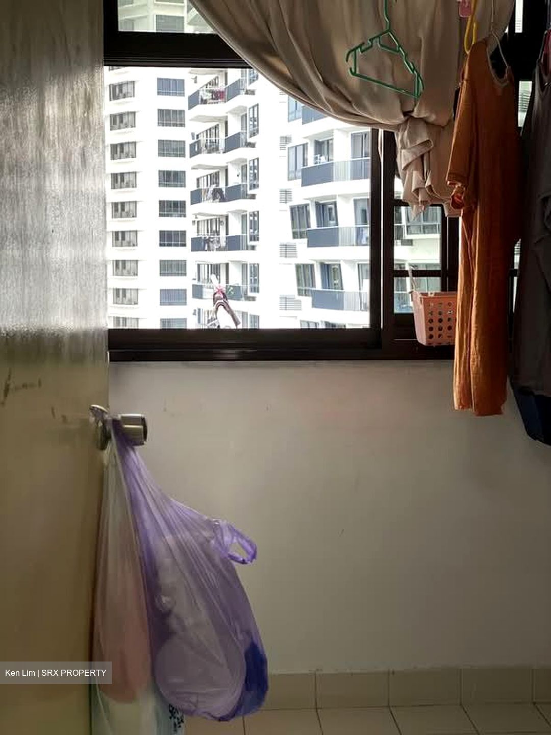 Blk 8 Farrer Gardens (Bukit Timah), HDB 3 Rooms #566072671